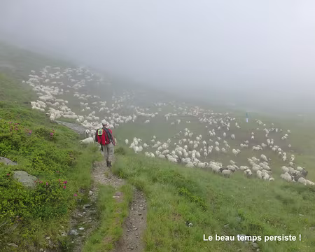 P1060618 Le beau temps persiste !