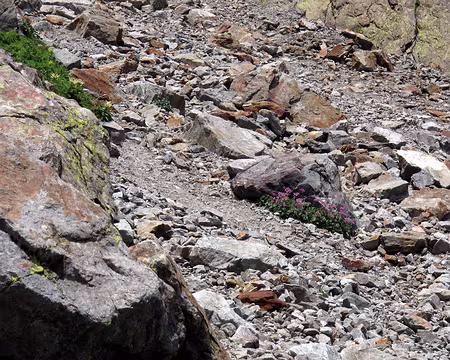 035 Un réel souci ce pierrier lorsque plusieurs cordées sont engagées dans sa descente