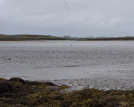 2016_08_30_11-50-39 Trop humide pour traverser sans bottes