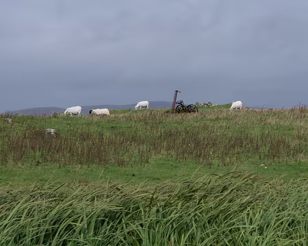 2016_08_31_12-38-34 Près de Teampull-na-trianaid