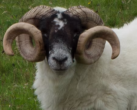 2016_08_31_15-12-38z128