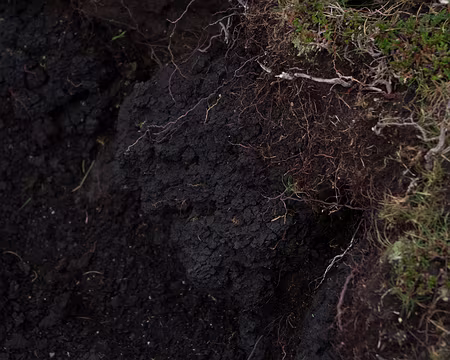 2016_09_03_11-53-40 Tourbe