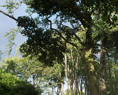 2016_09_06_17-55-49 Balade à Stornoway