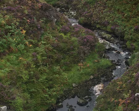 2016_09_07_09-38-05 J14 - Vue du haut du Bridge to Nowhere