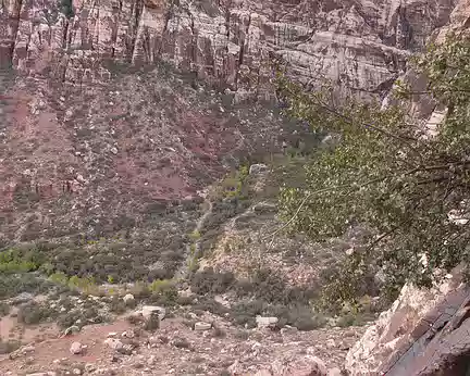 021 Un verdoyant canyon