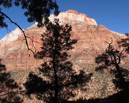 004 The East Temple. Le grès rose Navajo des murs de Sion, la colline sacrée de Jérusalem