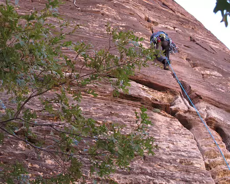 012 Ashtar Command Medium Cracks: quelques Friends pour protéger la progression