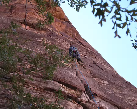 014 Medium Cracks, Body in Line