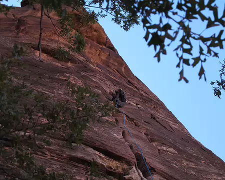 015 Rotate Hands in Opposite Direction