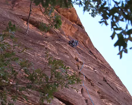 017 Philippe Brass à R1