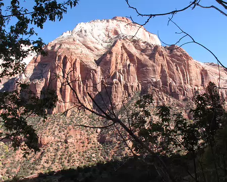 003 The East Temple et les différentes strates géologiques (8) de Zion National Park