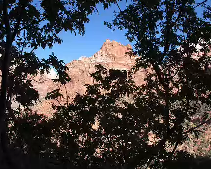 004 Mount Spry au NE de Canyon Junction séparant Virgin River canyon de celui de Pine Creek
