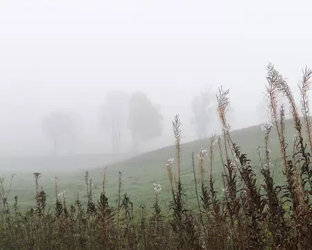 011_4V1A8383