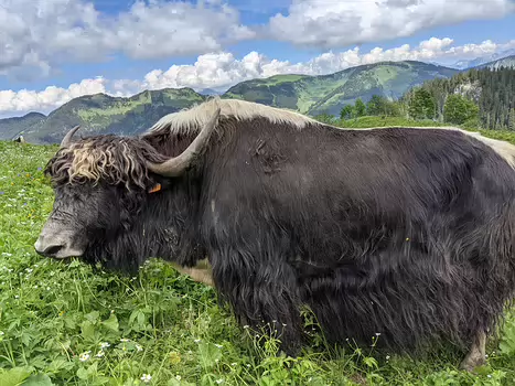 2021-07 Evian-Chamonix