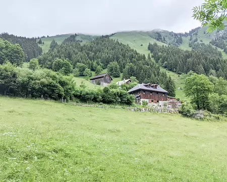 20210701-08h59m46s-PXL_20210701_065946426-V3