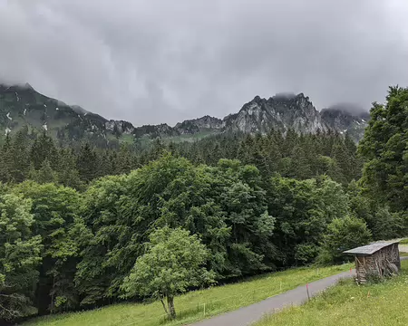 20210701-09h01m57s-PXL_20210701_070157035-V3