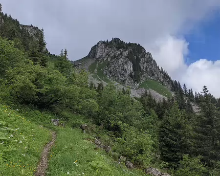 20210701-10h08m13s-PXL_20210701_080813265-V3