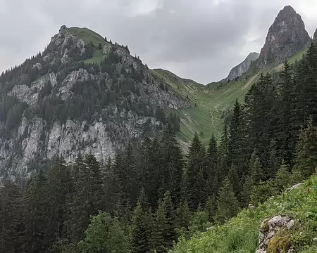 20210701-10h11m16s-PXL_20210701_081116916-V3