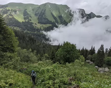 20210701-10h14m13s-PXL_20210701_081413117-V3