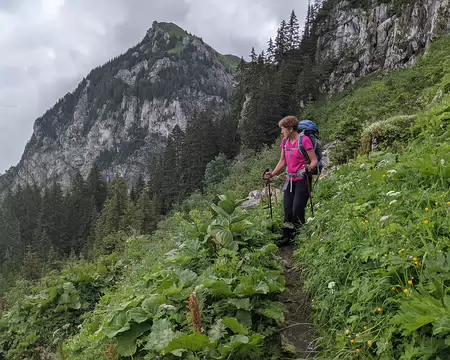 20210701-10h14m19s-PXL_20210701_081419288-V3