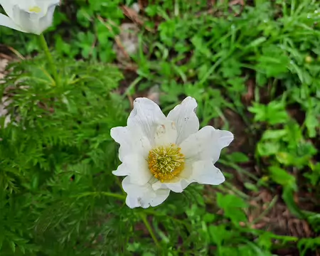 20210701-10h48m26s-20210701_104826-V3