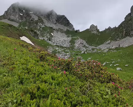 20210701-10h58m38s-PXL_20210701_085838139-V3