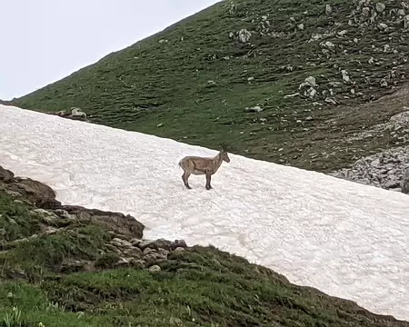 20210701-11h22m34s-PXL_20210701_092234622-V3