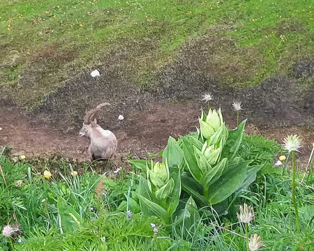 20210701-11h45m11s-20210701_114511-V3