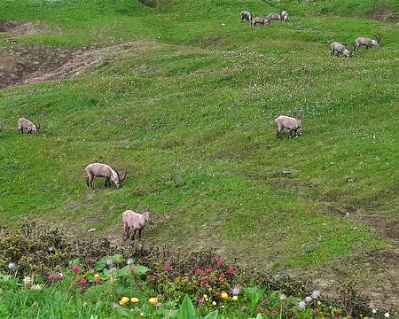 20210701-11h45m20s-20210701_114520-V3