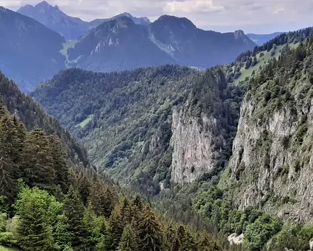 20210701-13h32m17s-20210701_133216-V3