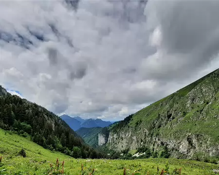 20210701-13h32m30s-20210701_133230-V3