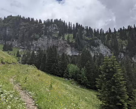 20210701-13h43m26s-PXL_20210701_114326142-V3