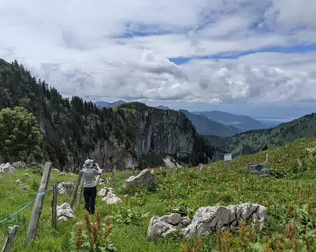 20210701-14h17m35s-PXL_20210701_121735285-V3