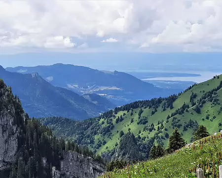 20210701-14h18m17s-20210701_141817-V3