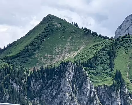 20210701-14h19m08s-PXL_20210701_121908333-V3