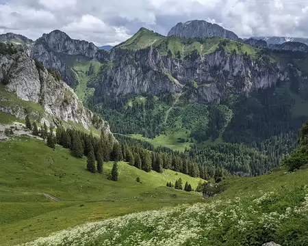 20210701-14h24m50s-PXL_20210701_122450805-V3