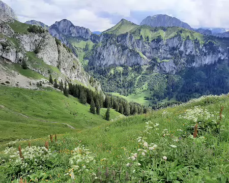 20210701-14h25m04s-20210701_142504-V3