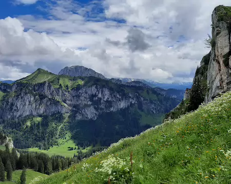 20210701-14h26m23s-20210701_142623-V3