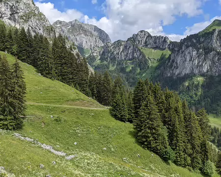 20210701-14h44m39s-PXL_20210701_124439923-V3