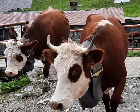 20210701-17h25m25s-20210701_172525-V3