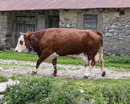 20210701-17h26m39s-PXL_20210701_152639454-V3