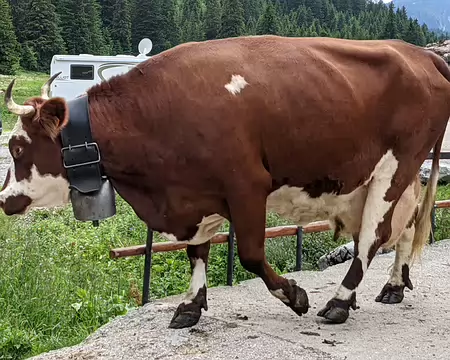 20210701-17h26m44s-PXL_20210701_152644456-V3