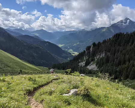 20210702-09h31m12s-PXL_20210702_073112958-V3