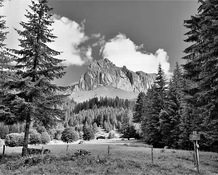 20210702-10h27m59s-20210702_102759-V3