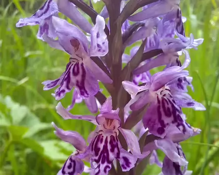 20210702-10h33m23s-20210702_103323-V3