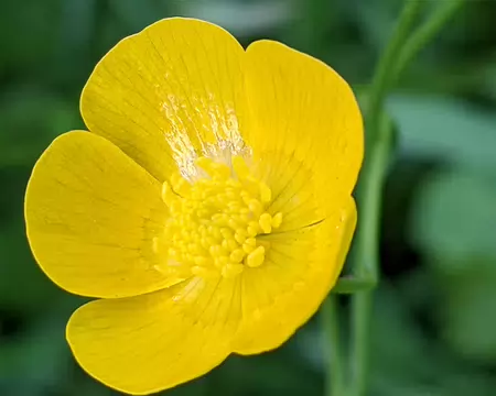 20210702-10h33m54s-PXL_20210702_083354579-V3