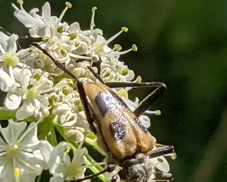 20210702-10h34m57s-PXL_20210702_083457898-V3