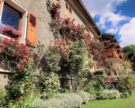 20210702-10h57m25s-20210702_105725-V3