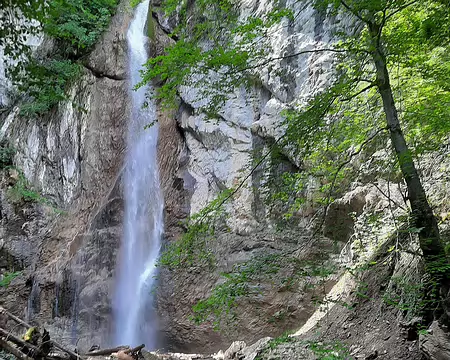 20210702-11h56m18s-20210702_115618-V3