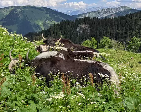 20210702-15h19m04s-PXL_20210702_131904639-V3